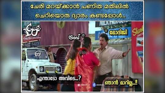 ഗ്രേറ്റ് വാൾ ഓഫ് ഇന്ത്യ: ഈ മതിലനപ്പുറത്തെന്താ? അത് അച്ഛാദിനാണ് ട്രംപേ...