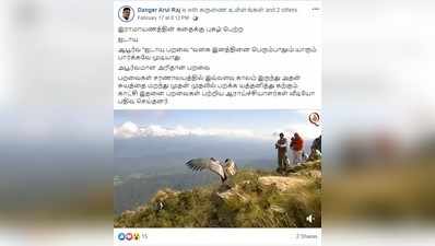 Fact Check: கேரள மலையில் ஜடாயு பறவையின் அரிய காட்சி... பரவும் வீடியோ உண்மையா?