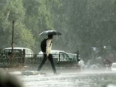 वेस्टर्न डिस्टर्बेंस का असर, राजधानी दिल्ली में बारिश के बन  रहे आसार