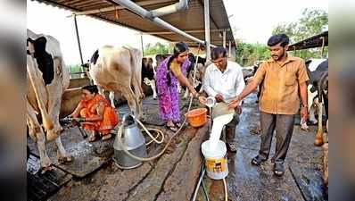 ಕ್ಷೀರಕ್ರಾಂತಿಗೆ 4,458 ಕೋಟಿ ರೂ. ಉತ್ತೇಜನ, 95 ಲಕ್ಷ ರೈತರಿಗೆ ಅನುಕೂಲ