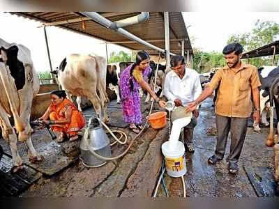 ಕ್ಷೀರಕ್ರಾಂತಿಗೆ 4,458 ಕೋಟಿ ರೂ. ಉತ್ತೇಜನ, 95 ಲಕ್ಷ ರೈತರಿಗೆ ಅನುಕೂಲ