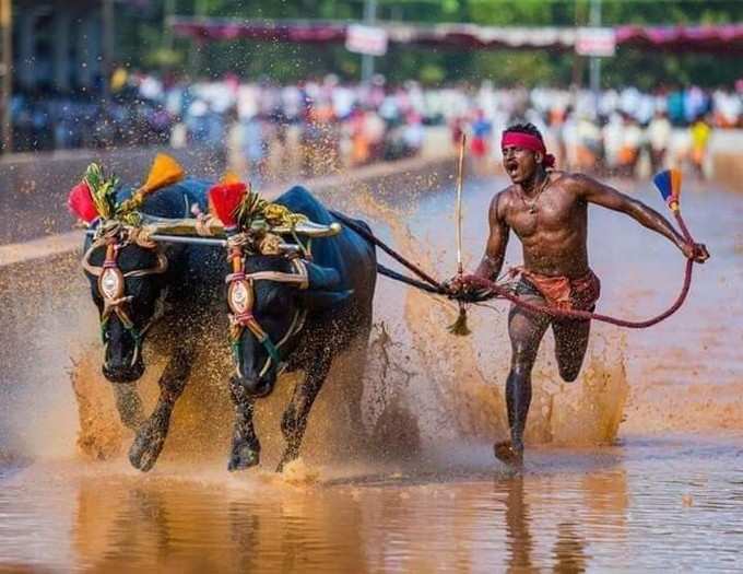 ಲಗಾನ್‌ ಮಾದರಿಯ ಸಿನಿಮಾ