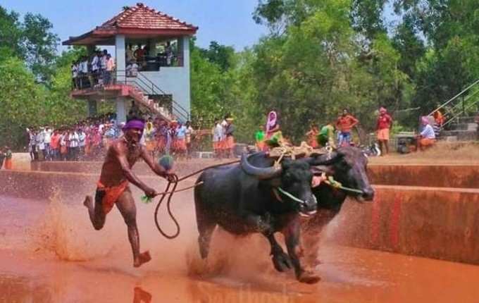 ನೈಜ ಘಟನೆಯಾಧಾರಿತ ಸಿನಿಮಾ