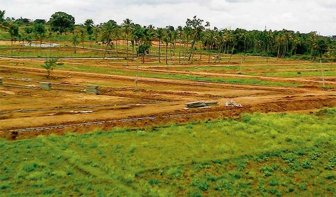 ​253.33 ಕೋಟಿ ರೂ. ಆದಾಯ ನಷ್ಟ