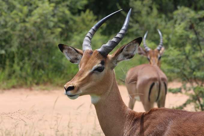 ನಿಸ್ವಾರ್ಥ ಸೇವೆ...