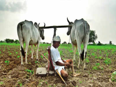 कर्जमाफीसाठी आठवडाभर प्रतीक्षा?