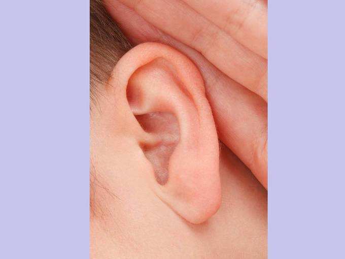 ​कान के किसी भी रोग में करें उपयोग
