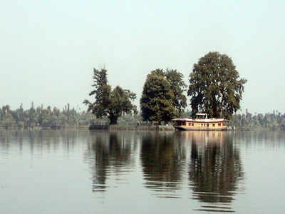 ಈ ಮರಗಳಿಂದಾಗಿ ಫುಲ್ ಫೇಮಸ್ ಆಯ್ತು ‘ಚಾರ್ ಚಿನಾರ್’