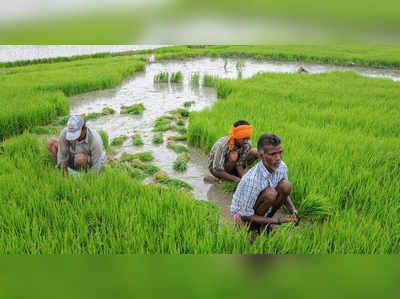 കർഷകർക്ക് പരിശീലനവുമായി ഐസിഐസിഐ  ഫൗണ്ടേഷൻ