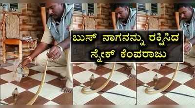 ಮೈಸೂರಲ್ಲಿ ಕೊಳವೆ ಬಾವಿಗೆ ಬಿದ್ದ ನಾಗರಹಾವನ್ನು ರಕ್ಷಿಸಿದ  ಸ್ನೇಕ್‌ ಕೆಂಪರಾಜು!