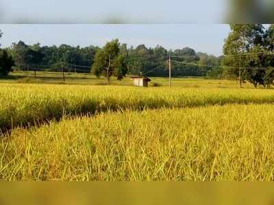 ಬಡವರ ಬದುಕಿಗೆ ನೆಲೆಯಾಗಿದ್ದ ಸರಕಾರಿ ಭೂ ಪ್ರದೇಶ, ಕೊರಳಿಗೆ ಉರುಳಾಯ್ತ ಕ್ರಿಮಿನಲ್‌ ಕೇಸ್‌!