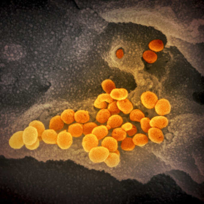 Coronavirus Outbreak