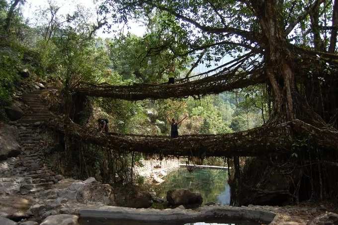 meghalaya bridge 1