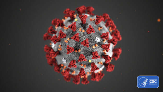 Coronavirus Markets Vs Science