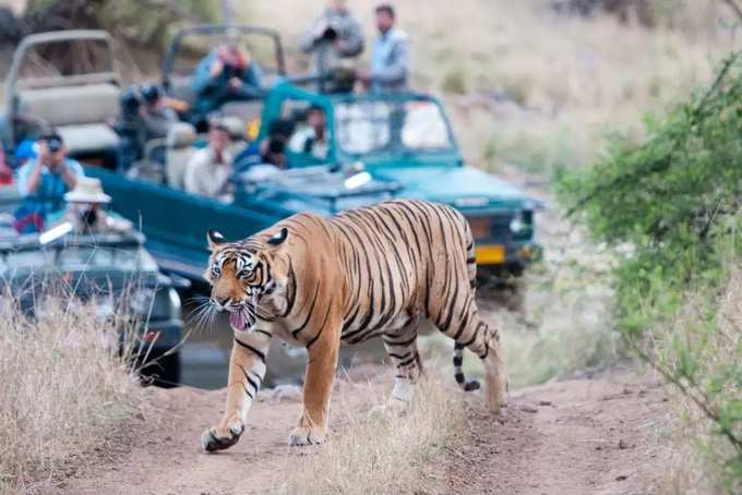 ​రణతంబోర్