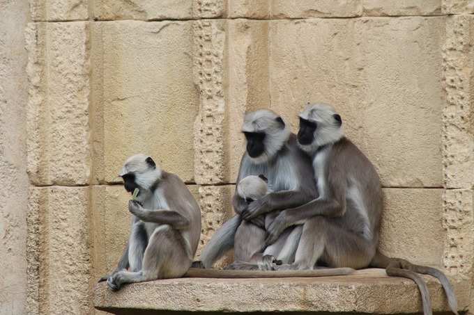 ಸೀನ್ 1