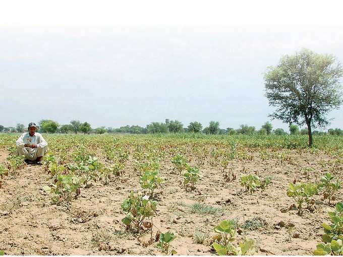 ​ರೈತರ ಸಮಸ್ಯೆ ಬಗೆಹರಿಸಿ