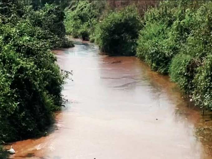 വിഷാംശമുള്ള നദി