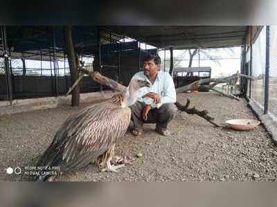 वन्यजीवांच्या सुश्रुषेसाठी झटणारा ‘रानवेडा’