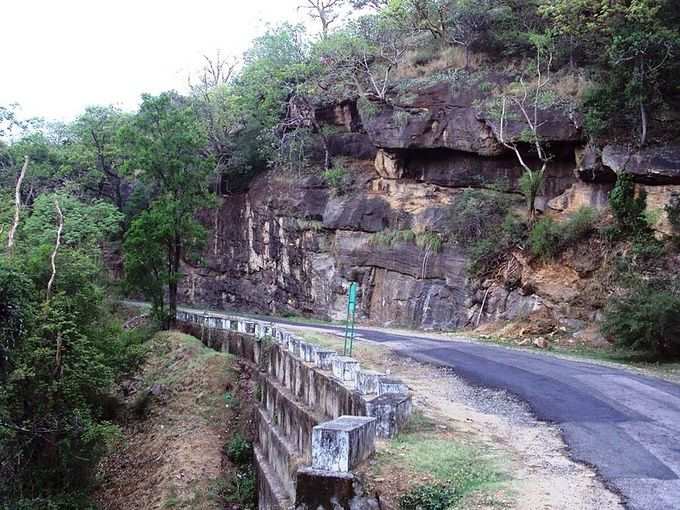 ​ಟ್ರೀ ಹೌಸ್‌ನಲ್ಲಿರುವ ಸೌಲಭ್ಯಗಳು