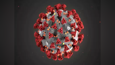 दुनिया के 80 देशों में फैला कोविड-19, हम हार चुके हैं कोरोना वायरस के खिलाफ जंग: वैज्ञानिक