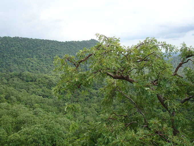 ​ಹಸಿರು ಕಣಿವೆಗಳು