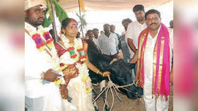 कर्नाटक: सामूहिक विवाह में 103 जोड़ों को तोहफे में मिली गाय