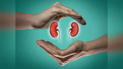 World Kidney Day : బరువుని తగ్గించే ప్రోటీన్ షేక్స్ కిడ్నీలపై ఎఫెక్ట్ చూపుతాయా..