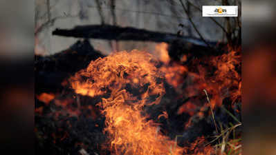 জঙ্গলে ঝরা পাতার আগুনে চিন্তায় বন দপ্তর