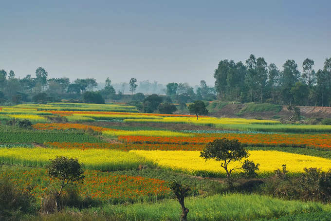 ​ಶಾಂತಿನಿಕೇತನದಲ್ಲಿ ಎಲ್ಲವೂ ವರ್ಣಮಯ