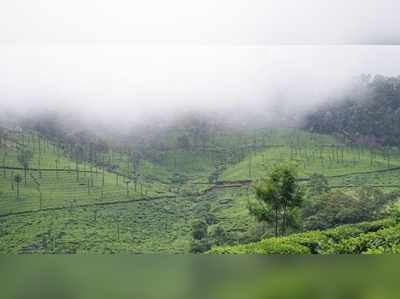 മൂന്നാറിൽ വിനോദ സഞ്ചാരത്തിന് നിരോധനം