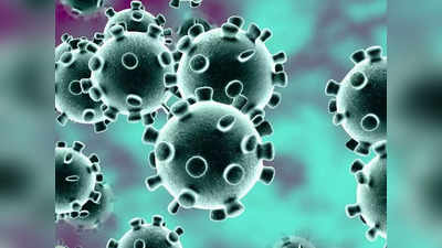 Coronavirus Warning: ఈ 14 వెబ్ సైట్లను అస్సలు ఓపెన్ చేయకండి!