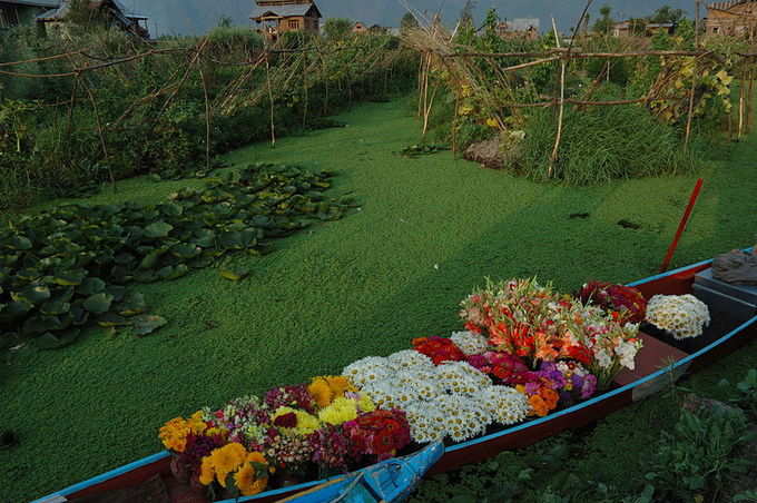 ​ಶಿಕಾರದಲ್ಲಿ ಕಾಶ್ಮೀರದ ಸೌಂದರ್ಯ ನೋಡಿ