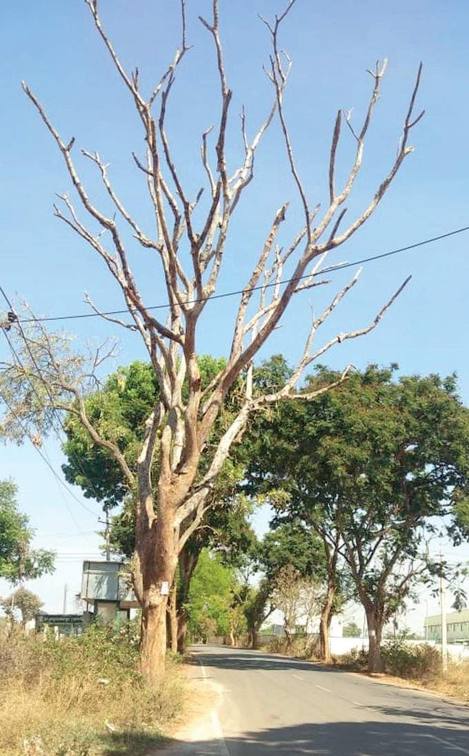 ಬೆಂಗಳೂರು ಉತ್ತರ