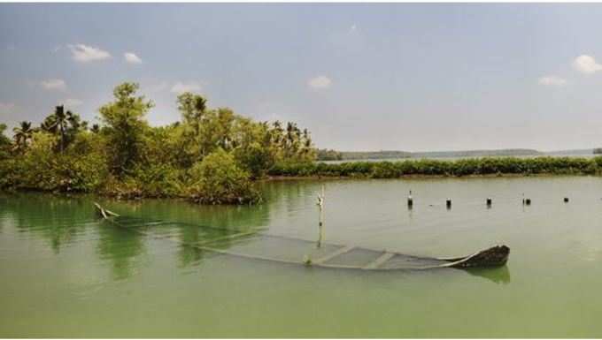 ​ದ್ವೀಪ ನೋಡುವವರಿಗೆ ಕೆಲವು ಸಲಹೆಗಳು