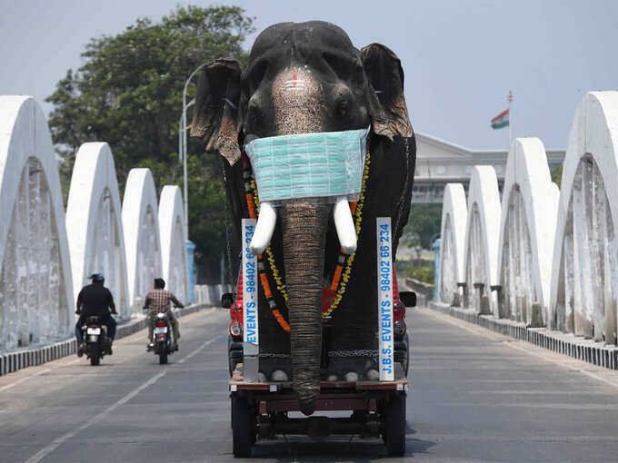 कोरोना से जंग के लिए अनोखा अवेयरनेस प्रोग्राम