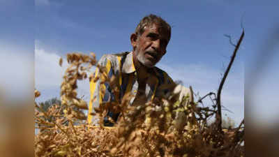 मेरठः पहले मौसम की मार, फिर कोरोना के चलते लॉकडाउन, तीन स्तर पर परेशानी से घिरे किसान