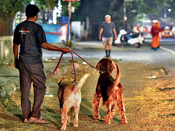 कुत्ता घुमाना, बाल कटाना... पास के लिए VIP बहाने