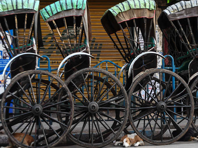 कोलकाता के रिक्शे खाली, बेफिक्र डॉगी