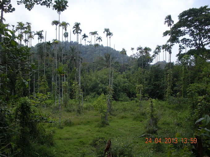 ​ಬುಡಕಟ್ಟು ಸಮುದಾಯದ ಕರಿಂತಂಡನ್