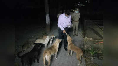 यूपीः लॉकडाउन में मंदिर बंद, भूखे भटक रहे थे कुत्ते, डीआईजी ने अपने हाथों से खिलाया खाना