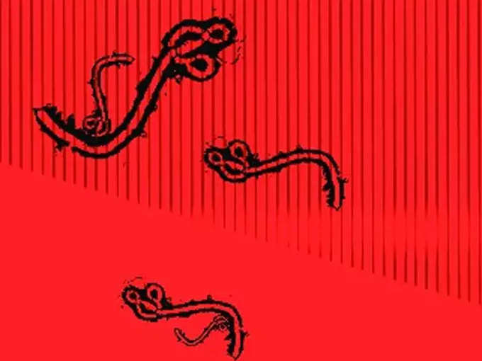 इबोला और मारबर्ग वायरस (Ebola and Marburg Virus)