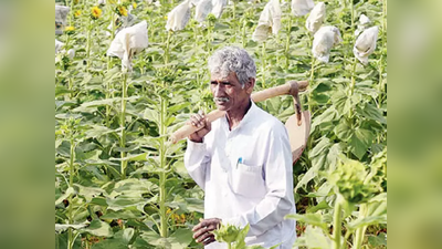 ರೈತರಿಗೆ ಲಾಕ್‌ಡೌನ್‌ ಭಯ ಬೇಡ, ತರಕಾರಿ, ಆಹಾರ ಪದಾರ್ಥ ಸಾಗಣೆಗೆ ನಿರ್ಬಂಧ ಇಲ್ಲ: ಮಂಡ್ಯ ಡಿಸಿ