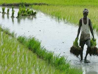 ஊரடங்கு உத்தரவு: தமிழகத்தில் விவசாய பணிகளுக்கு தடை நீக்கம்