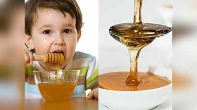 Baby Food: जानें बच्चों को कब और कैसे खिलाएं शहद, सेहत के लिए क्या हैं इसके फायदे