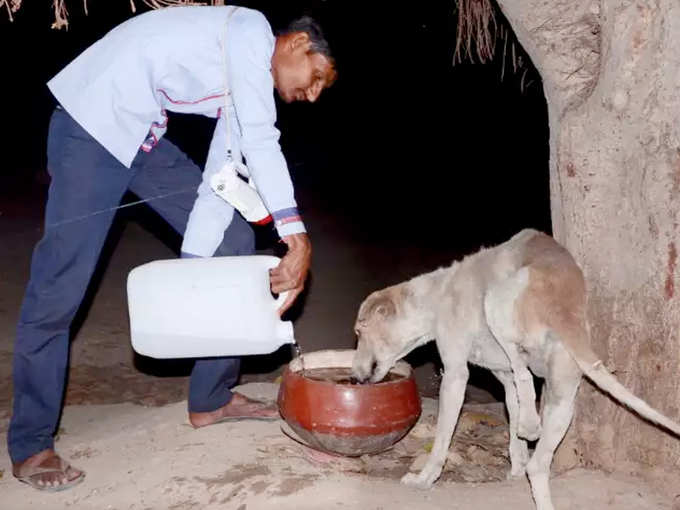 फसल बुआई से पहले होती है ज़मीन की निलामी