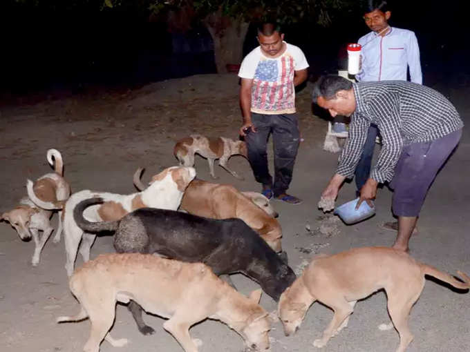 जीवदया प्रथा है इसकी वजह