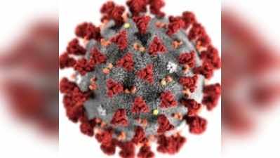 Coronavirus: ஈரோடு பெண் மருத்துவருக்கு நேர்ந்த சோகம்!!