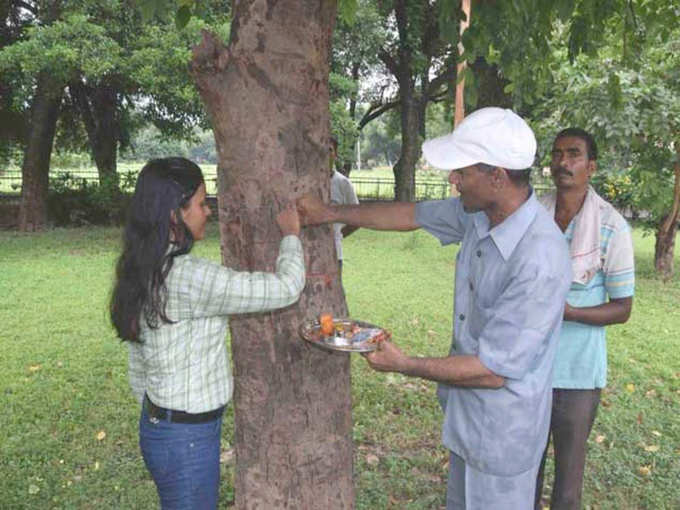 पेड़ों को बांधते हैं राखी