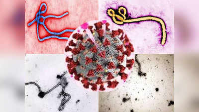 Coronavirus Treatment: प्लाज्मा थेरपी से इबोला का हुआ था इलाज, क्या वैक्सीन आने तक कोरोना में भी यही होगा? 